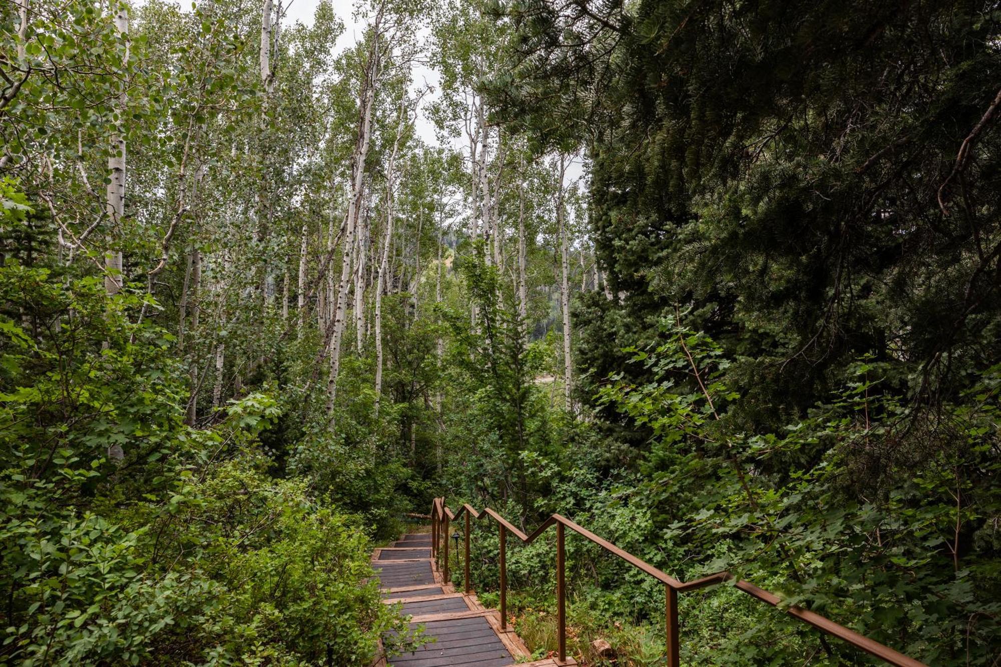 Deer Valley Little Belle Ultimate Ski Getaway, Sleeps 14, Luxury Design, Private Hot Tub, Park City Buitenkant foto